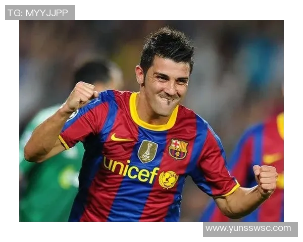 比利亚足球球星排名分析及个人成就统计汇总